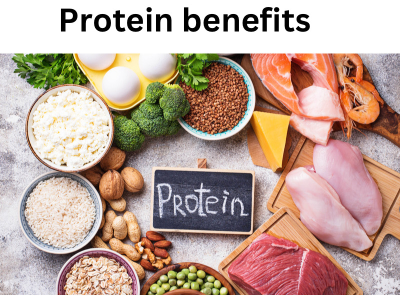 Protein benefit